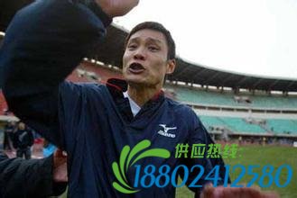 体坛路怒一族：王治郅拳打脚踢，孔令辉因此退