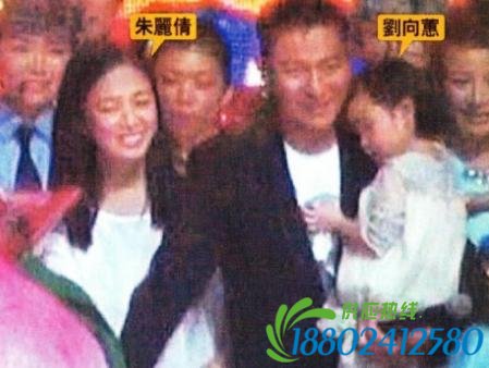 刘德华为爱女一掷千金:买2亿豪宅加2亿飞机