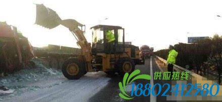 铲车赶到现场进行清理。