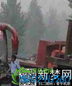 河南客车货车相撞 5死16伤重大车祸