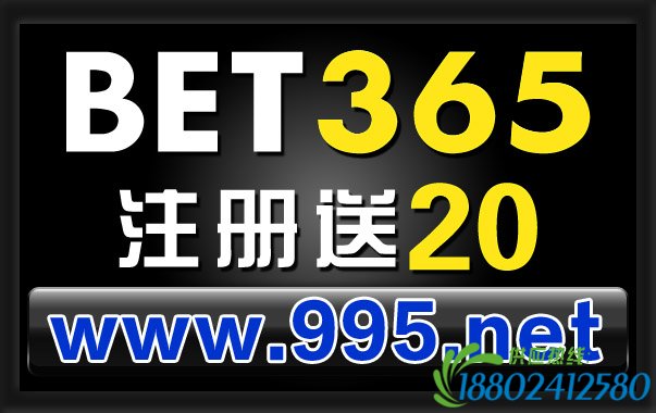 喜迎2016助力百家 乐