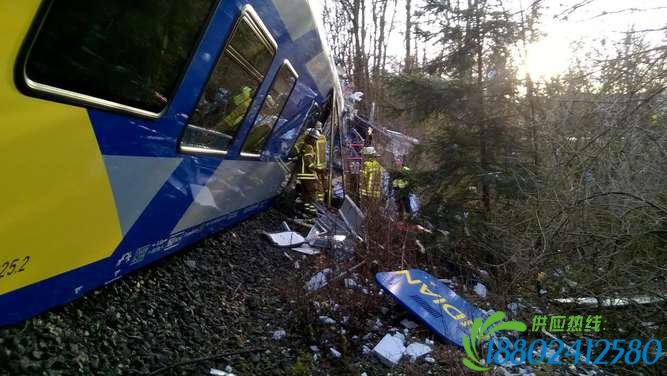 德国慕尼黑火车相撞事故 数人死亡约百人受伤