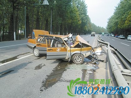 出租车突然撞上隔离护栏 司机死亡
