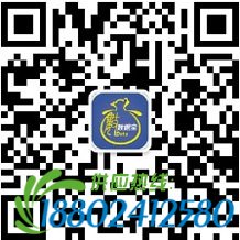 刘士余：果断“救市”防止车毁人亡