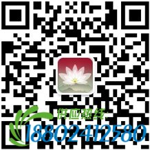 刘士余：果断“救市”防止车毁人亡