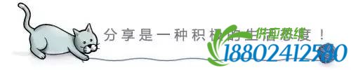 明明可以开豪车你却要挤公交 话说你不知道的汽