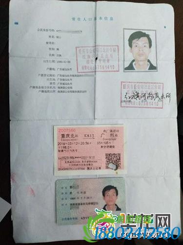 男子被车撞了 不要现金赔偿只要一张火车票