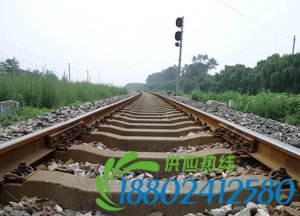 死神来了？女孩坐铁轨晒太阳被撞飞当场毙命 同伴吓得发抖
