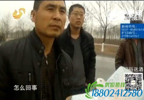 广饶县：刹车失灵！液化气罐车撞上油罐车[视频]