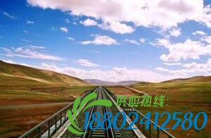 坐铁轨晒太阳被撞 本可躲过遭难因折返回去拿书包被撞飞