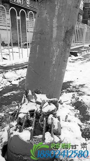 兰州：飞驰“丰田”失控撞坏护栏撞断电杆 车上2人受伤