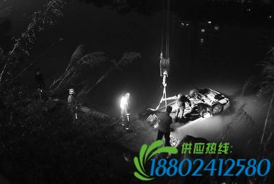 小车撞护栏翻入溪中 车上两名驾乘人员遇难