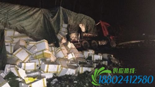 京港澳高速汨罗段油罐车爆炸事故现场(图)