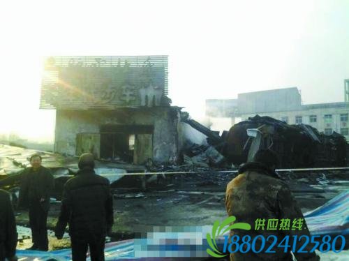 油罐车失控冲入汽车站引燃30多辆车(图)