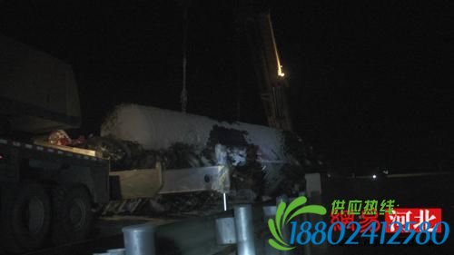 雄县25吨油罐车高速路侧翻 车头严重变形三人被困