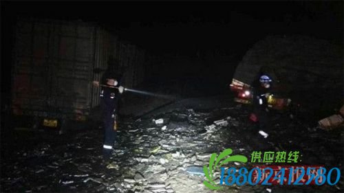 图为岳阳市蓝天救援队在事故附近搜救。