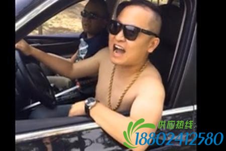 比亚迪撞翻大众 事情不是你想的那么简单