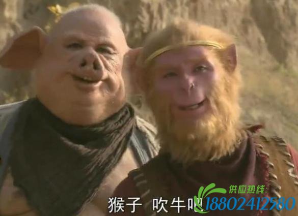 比亚迪撞翻大众 事情不是你想的那么简单