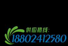比亚迪撞翻大众 事情不是你想的那么简单