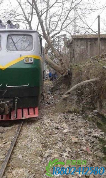 货车撞上火车 事故现场曝光