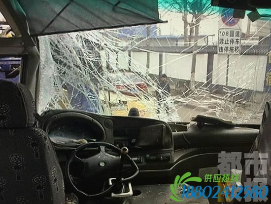 108国道临潼段中巴车撞向油罐车，10名乘客受伤。
