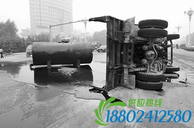 1018a1201.jpg