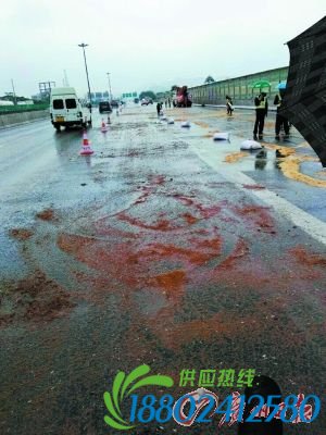 广深高速一油罐车漏油4公里滑倒车一串