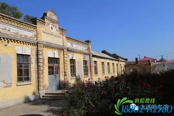 呼海铁路地下党支部书记—— 胡起