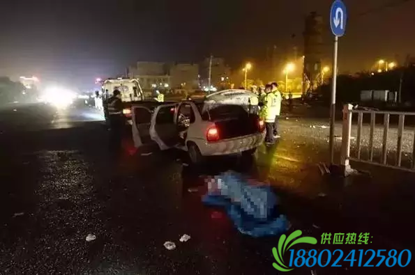 玉林一司机撞上路边防护栏 钢管穿胸而过当场死亡