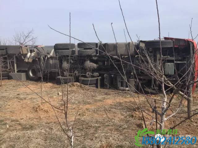 惊险！装满柴油的油罐车翻进栖霞苹果地！