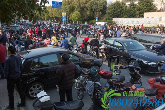 　　图片说明：2016年3月25日，上海闵行伟业路，道路两旁停放接孩子的车导致路面拥挤不堪。 澎湃新闻记者 朱伟辉 图