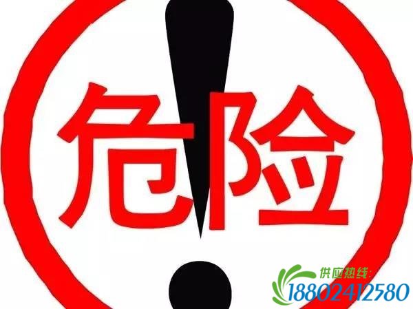 危险品车下坡刹车没了，驾驶员管自己跳车，车子飞驰而下……