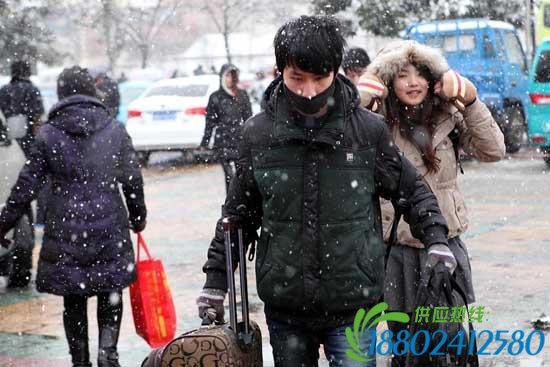 河北山东安徽等多省高速公路因降雪关闭（视频/图）