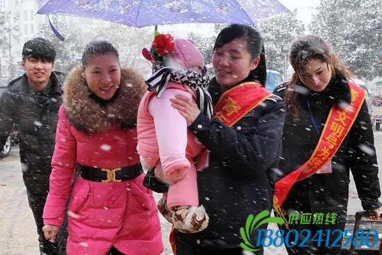 河北山东安徽等多省高速公路因降雪关闭（视频/图）