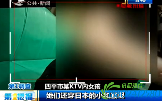 记者暗拍吉林一KTV 陪酒少女：给500元全脱(图)