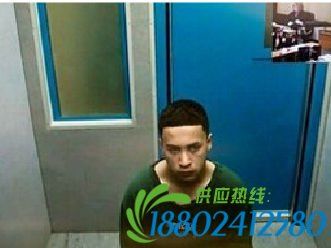 流浪汉被打死