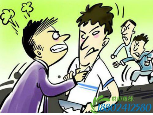 男子私会网友