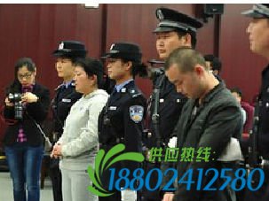 男子撞死妻子
