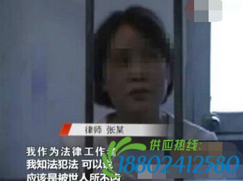 杀女儿闺蜜