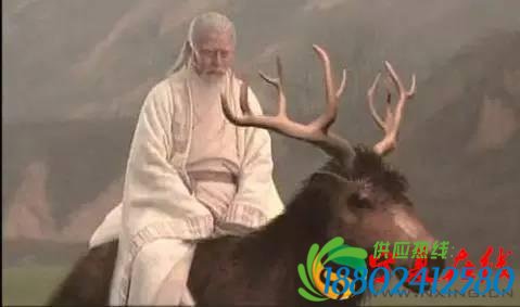 快乐正当午神兽逼停高铁，德清铁路工抓到姜子牙坐骑！