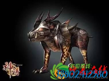 快乐正当午神兽逼停高铁，德清铁路工抓到姜子牙坐骑！