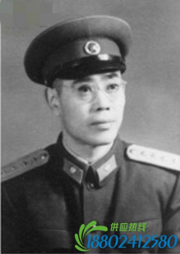 原铁道兵司令部参谋长龙桂林逝世 曾任叶剑英参