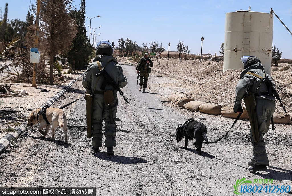 俄罗斯工兵部队抵达叙利亚 俄专家明确扫雷路线