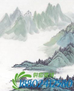 今词古说：“丹青”为何指中国画