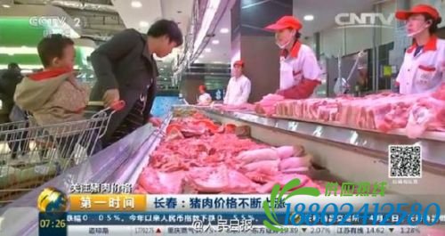 猪肉价单月猛涨30% 肋排卖到每斤35.8元