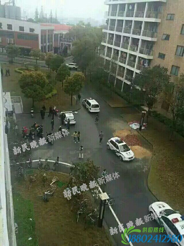 上海理工大学一女生在宿舍坠楼 校方回应(图)