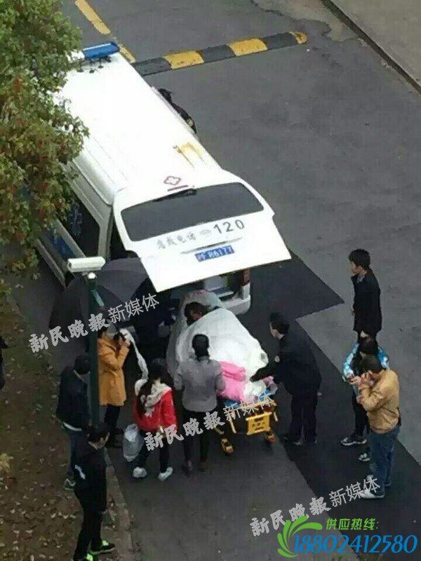 上海理工大学一女生在宿舍坠楼 校方回应(图)