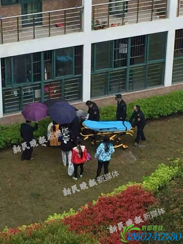 上海理工大学一女生在宿舍坠楼 校方回应(图)