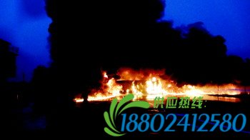 K12_0033
