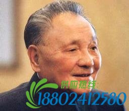 邓小平为中国足球发展指一道路：不这样搞是上
